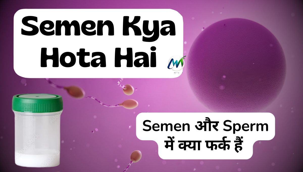 Seman (Semen) Kya Hain